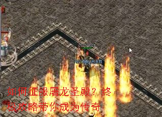 �����������ʥ��ռ����Դ����Ϊ����