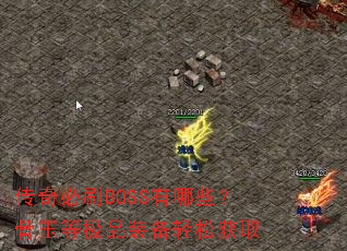 �����ˢBOSS����Щ������ȼ�Ʒװ�����ɻ�ȡ