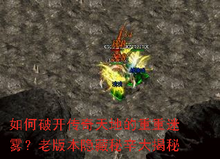 ����ƿ�������ص������������ϰ汾�������������