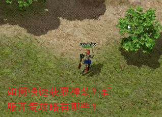 如何快速获取神装?新服开荒攻略有哪些? 如何快速获取神装?新服开荒攻略有哪些?