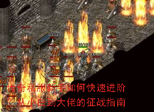 ����˽��������ο��ٽ��ף���С�׵����е���սָ��