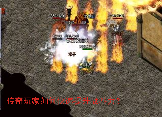 ���������ο�������ս������