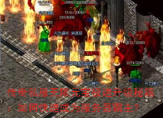 ����˽������Ԫ�����������ؼ�����ο��ٳ�Ϊ������������