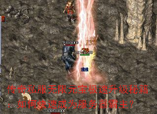 ����˽������Ԫ�����������ؼ�����ο��ٳ�Ϊ������������