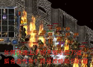 ��ο�������80�޵�С�쵶���ܺϻ����棿�ռ���������ư�