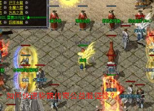 ��ο��ٳưԴ��湫�����;��