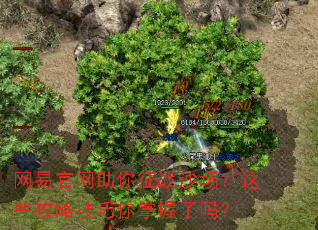 ���׹���������սɳ������Щ���Լ�������������