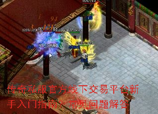 ����˽���ٷ����½���ƽ̨��������ָ�ϣ�����������