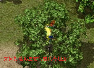 如何打造彰显霸气的传奇翅膀? 如何打造彰显霸气的传奇翅膀?