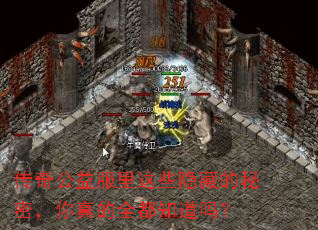 ���湫�������Щ���ص����ܣ������ȫ��֪����