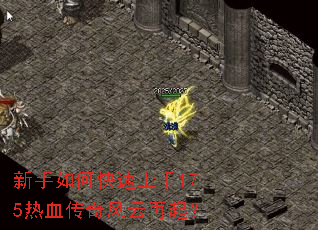 ������ο�������175��Ѫ�����������