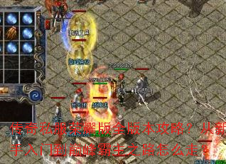 ����˽����ҫ��ȫ�汾���ԣ����������ŵ��۷����֮·��ô�ߣ�