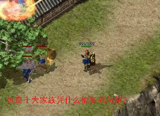 ����ʮ�����ƾʲô������ǰé��