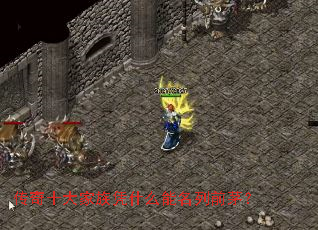 ����ʮ�����ƾʲô������ǰé��