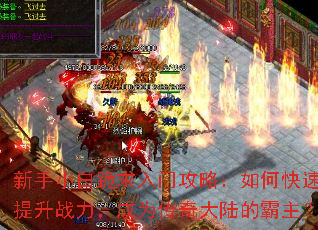 ����С�׹������Ź��ԣ���ο�������ս������Ϊ�����½�İ�����