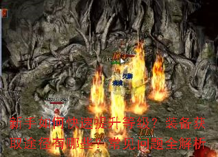 ������ο��������ȼ���װ����ȡ;������Щ����������ȫ����