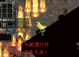 ��������������������γ�Ϊ�����ֵܣ�