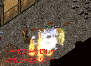 ��������������������γ�Ϊ�����ֵܣ�