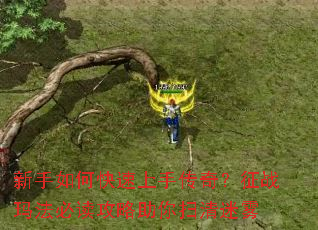 ������ο������ִ��棿��ս�귨�ض���������ɨ������