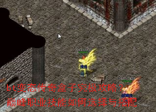 bt��̬������Ӿ������ԣ��۷�ְҵ�������ѡ�������