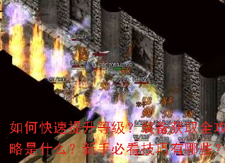 如何快速提升等级?装备获取全攻略是什么?新手必看技巧有哪些? 如何快速提升等级?装备获取全攻略是什么?新手必看技巧有哪些?