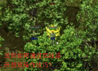 ��ʦ���ͨ��ʵս������Ϸ�������ɣ�