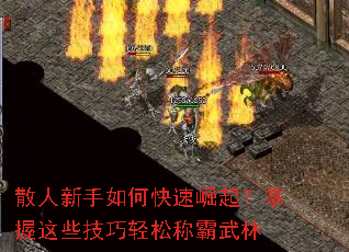 ɢ��������ο�������������Щ�������ɳư�����