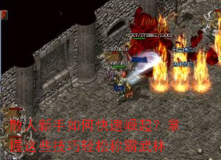 ɢ��������ο�������������Щ�������ɳư�����