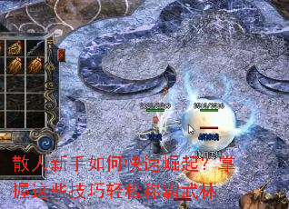 ɢ��������ο�������������Щ�������ɳư�����