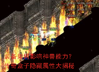 װ�����Ӱ��������������������������Դ����