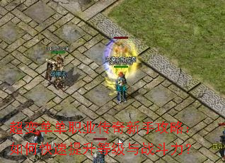 ���䵥��ְҵ�������ֹ��ԣ���ο��������ȼ���ս������