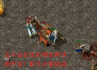 �Ž��۽�¼ǰ����ο������������ֱؿ��ؼ�