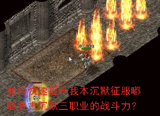 ��ο��������ұ���Ĭ�����ླྀ��ų�Ĭ��ְҵ��ս������