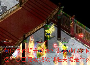 ��ο��������ȼ���װ����ȡ�кνݾ���ɳ�Ϳ˹���ս��ʤ�ؼ���ʲô��