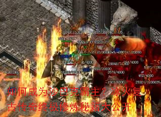 ��γ�Ϊɳ�Ϳ˰��������𸴹Ŵ����ռ������ؼ��󹫿�