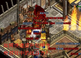 ��ο����������״�����Ϸ�е�ս������