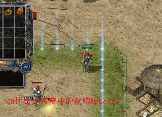 ��λ��ܴ����е�˫��̥boss��