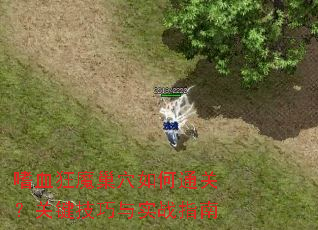 ��Ѫ��ħ��Ѩ���ͨ�أ��ؼ�������ʵսָ��