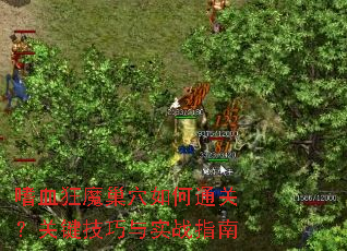 ��Ѫ��ħ��Ѩ���ͨ�أ��ؼ�������ʵսָ��