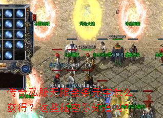 ����˽�����޽���Ԫ����ô��ã���Щ������֪����