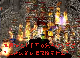 ��ο����������⸴��ս����ȼ������װ����ȡ������ʲô��