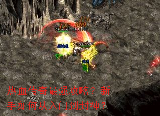 ��Ѫ������ǿ���ԣ�������δ����ŵ�����