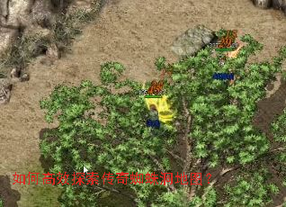 ��θ�Ч̽������֩�붴��ͼ��