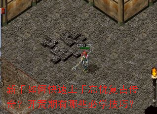 ������ο����������Ǹ��Ŵ��棿����������Щ��ѧ���ɣ�