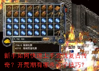 ������ο����������Ǹ��Ŵ��棿����������Щ��ѧ���ɣ�