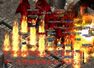 ������ο����������Ǹ��Ŵ��棿����������Щ��ѧ���ɣ�