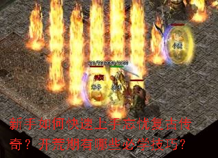 ������ο����������Ǹ��Ŵ��棿����������Щ��ѧ���ɣ�