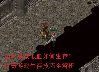 ��ʦ�߹���Ѫ������棿������Ϸ���漼��ȫ����