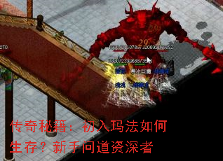 �����ؼ��������귨������棿�����ʵ�������