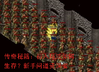 �����ؼ��������귨������棿�����ʵ�������